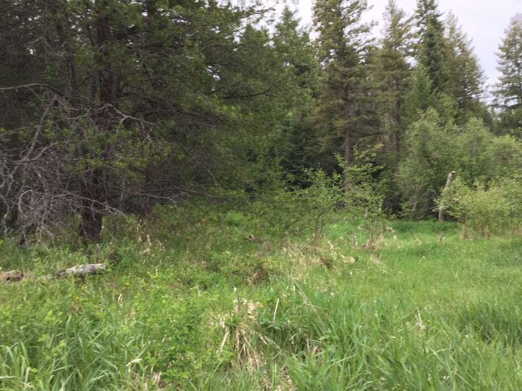 0 North Muehle Road Elk, WA 99009 - Photo 2 of 7 Gallery Image 2
