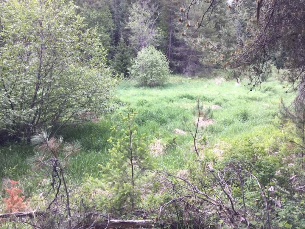 0 North Muehle Road Elk, WA 99009 - Photo 4 of 7 Gallery Image 4