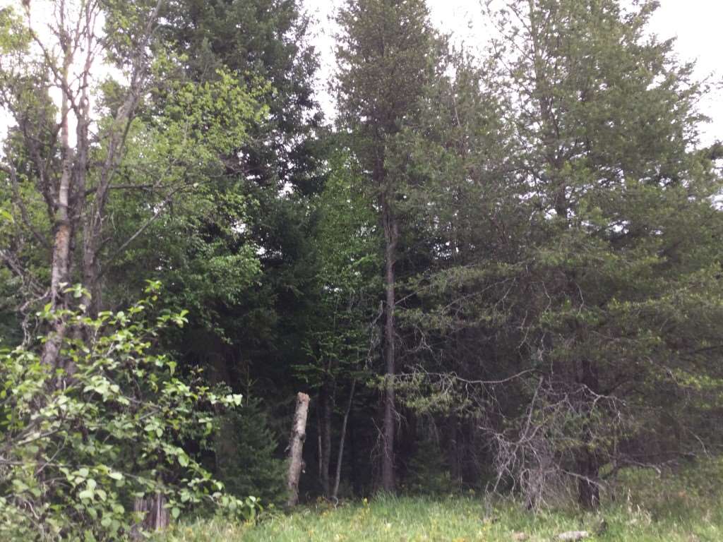 0 North Muehle Road Elk, WA 99009 - Photo 5 of 7 Gallery Image 5