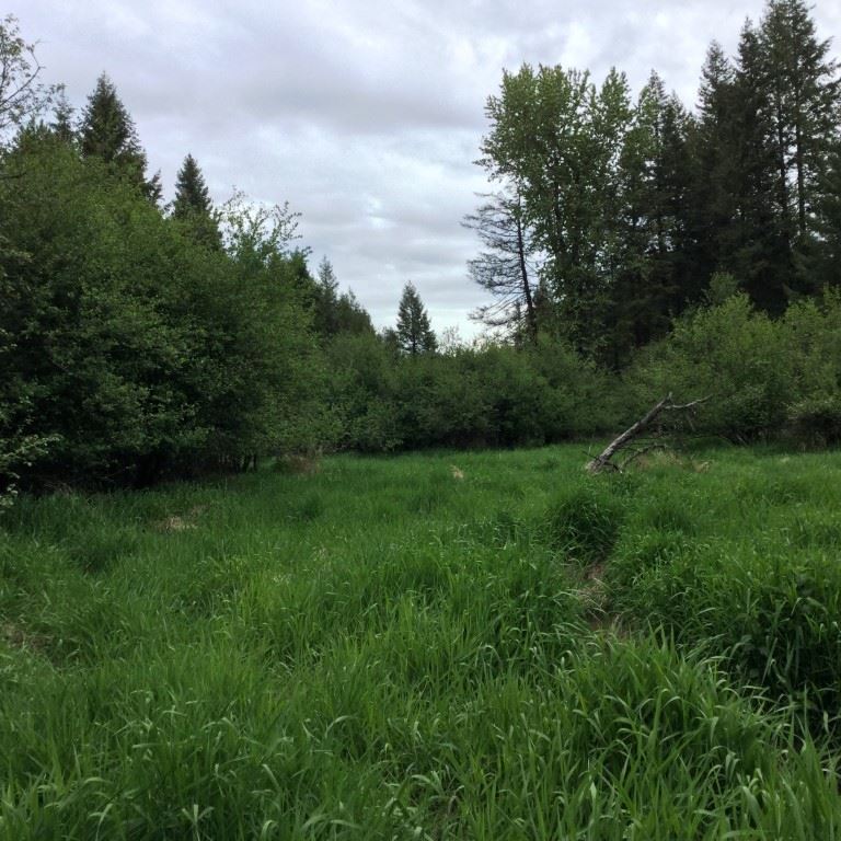 0 North Muehle Road Elk, WA 99009 - Photo 7 of 7 Gallery Image 7