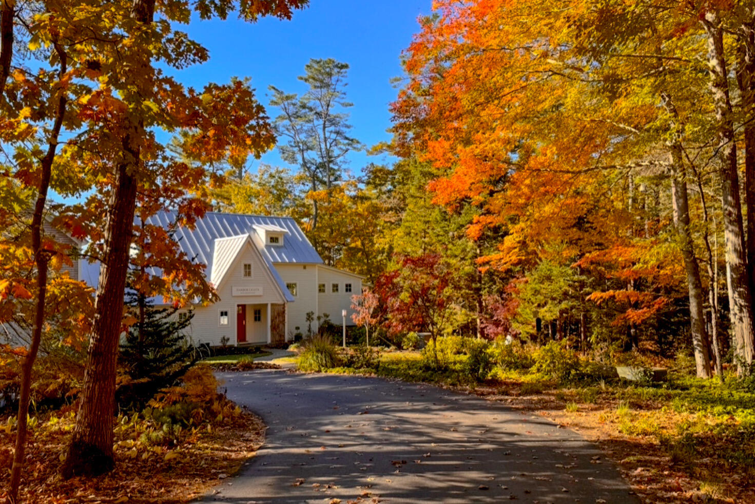 29 Cushing Briggs Road Freeport, ME 04032 - Photo 47 of 50 autumn views