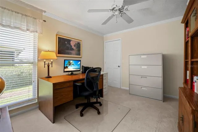 a view of a livingroom with furniture window and outside view