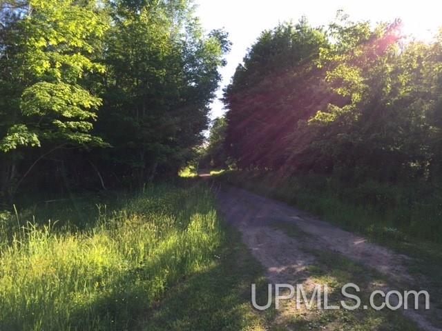 Tbd Ruonavaara Road Lake Linden, MI 49945 - Photo 9 of 32 Gallery Image 9
