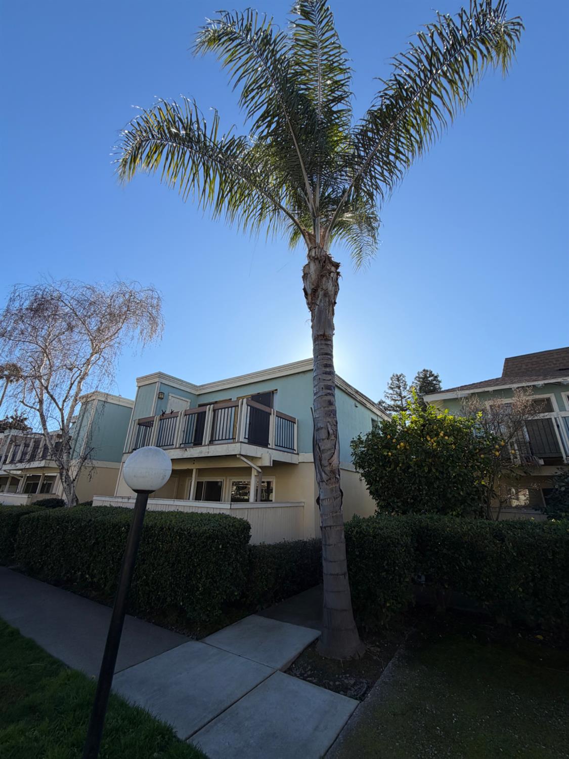a front view of a house with balcony and trees
