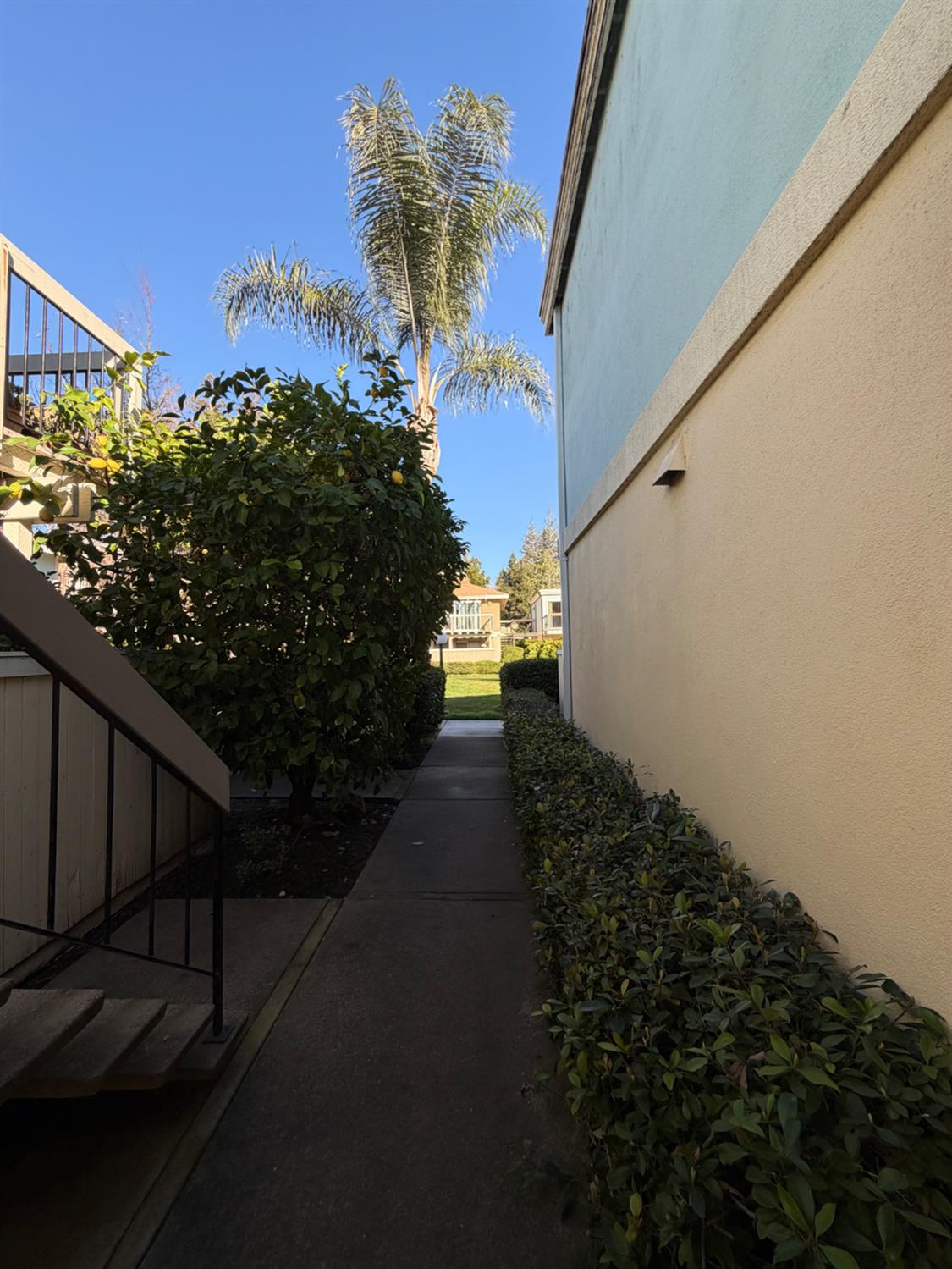 6241 Riverside Boulevard, Unit 112 Sacramento, CA 95831 - Photo 27 of 33 a view of a pathway of a house with a yard