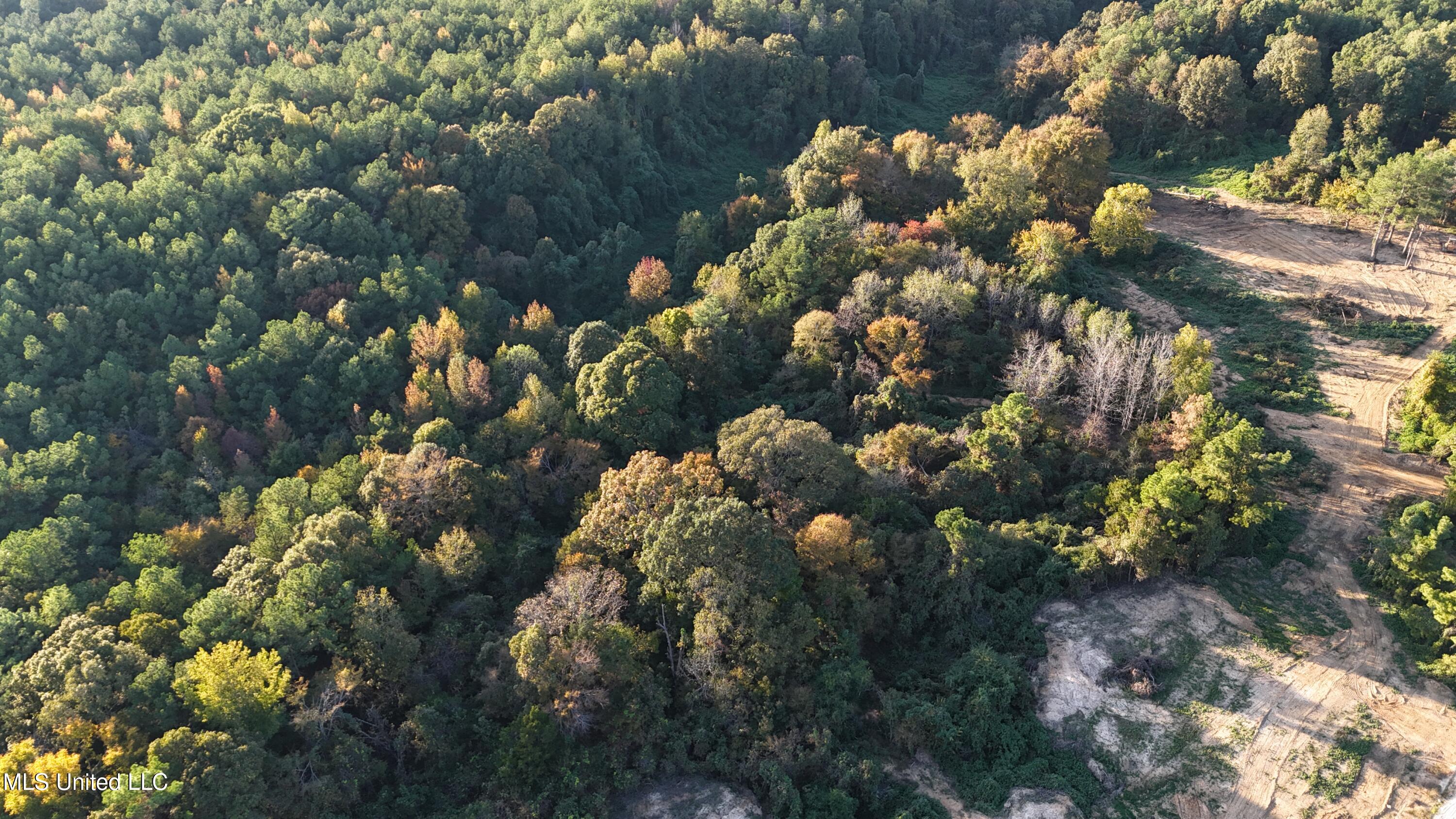 5 Tyro Branch Cove Senatobia, MS 38668 - Photo 3 of 4 DJI_20241023172042_0065_D