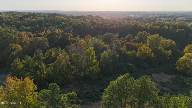 $44,500 | 5 Tyro Branch Cove, Senatobia, MS 38668