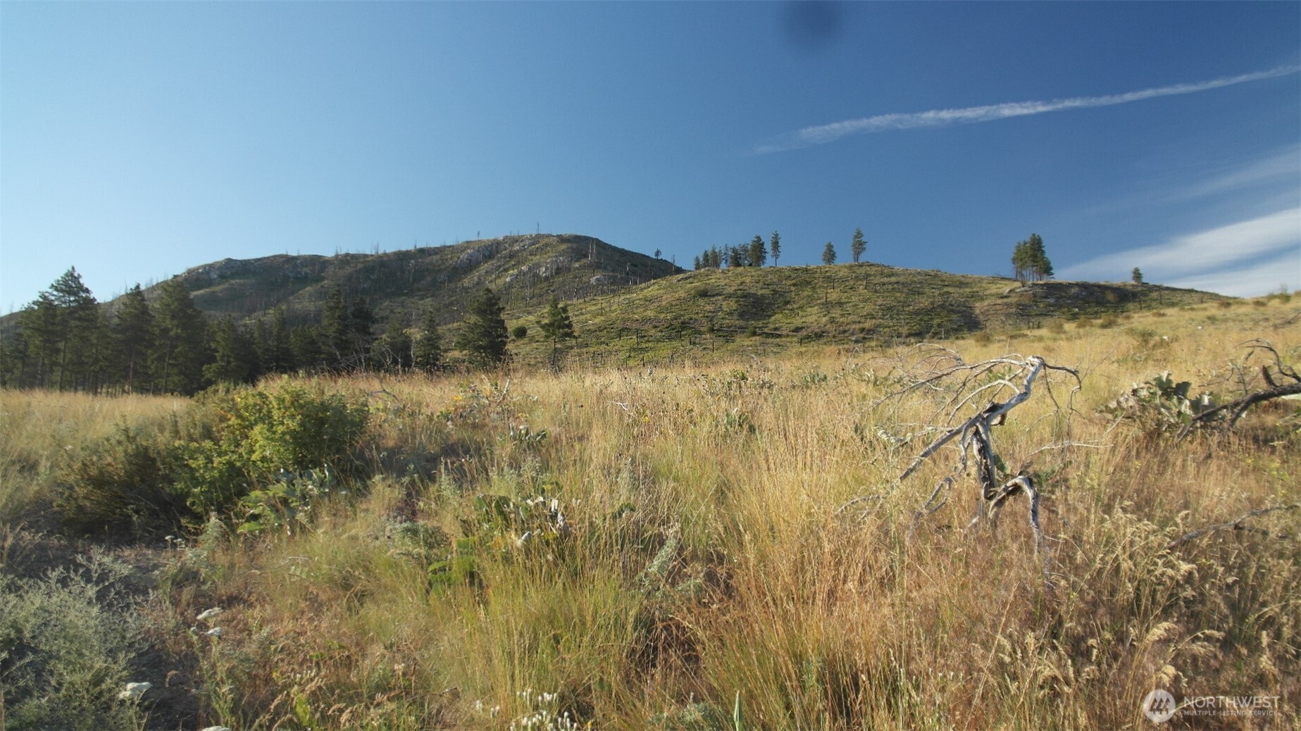 75 High Rnch Road Pateros, WA 98846 - Photo 16 of 29
