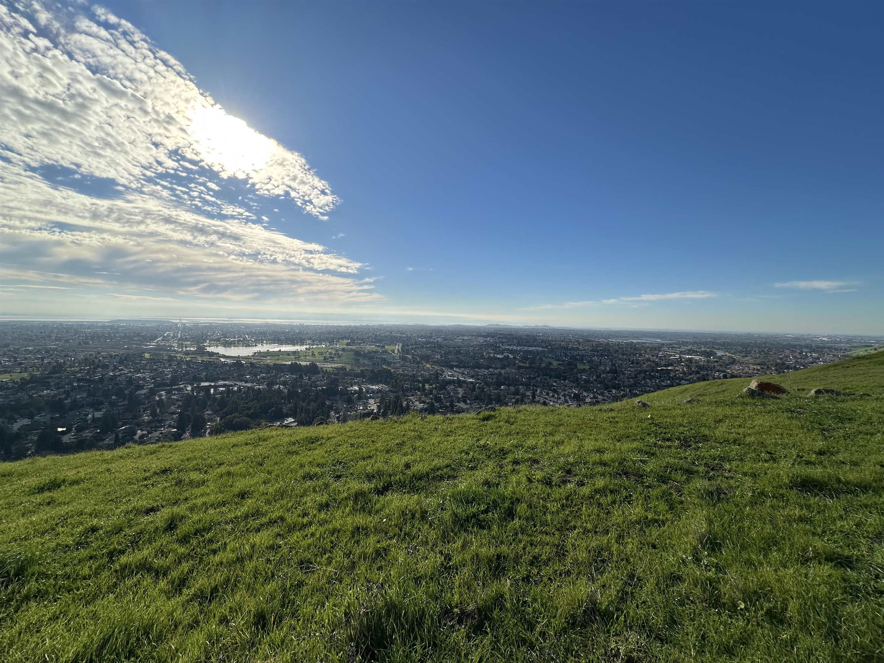 a view of yard with ocean view