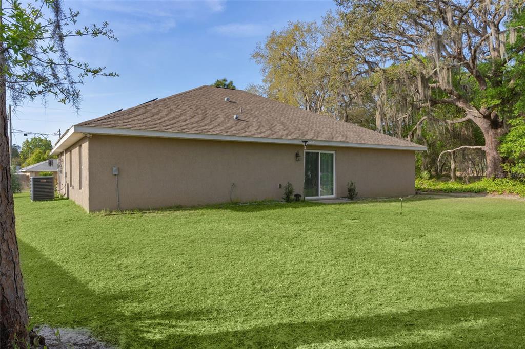 13 Malauka Radial Run Road Ocklawaha, FL 32179 - Photo 31 of 32 a backyard of a house with lots of green space
