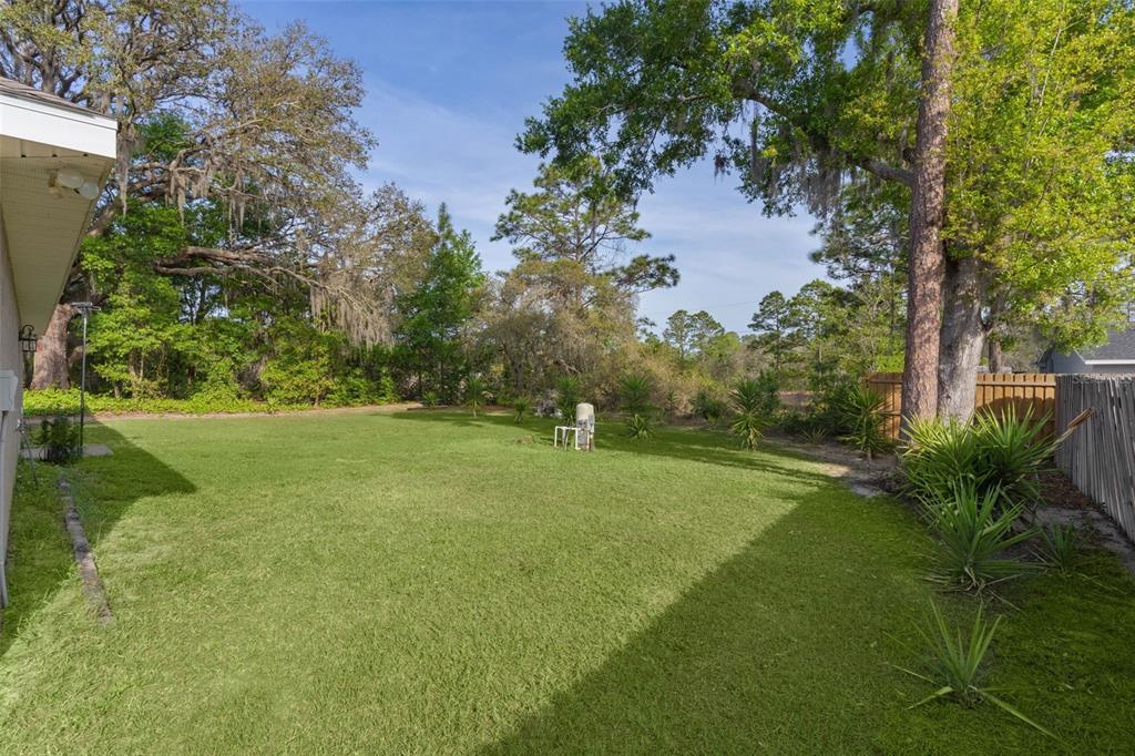 13 Malauka Radial Run Road Ocklawaha, FL 32179 - Photo 32 of 32 a view of a garden