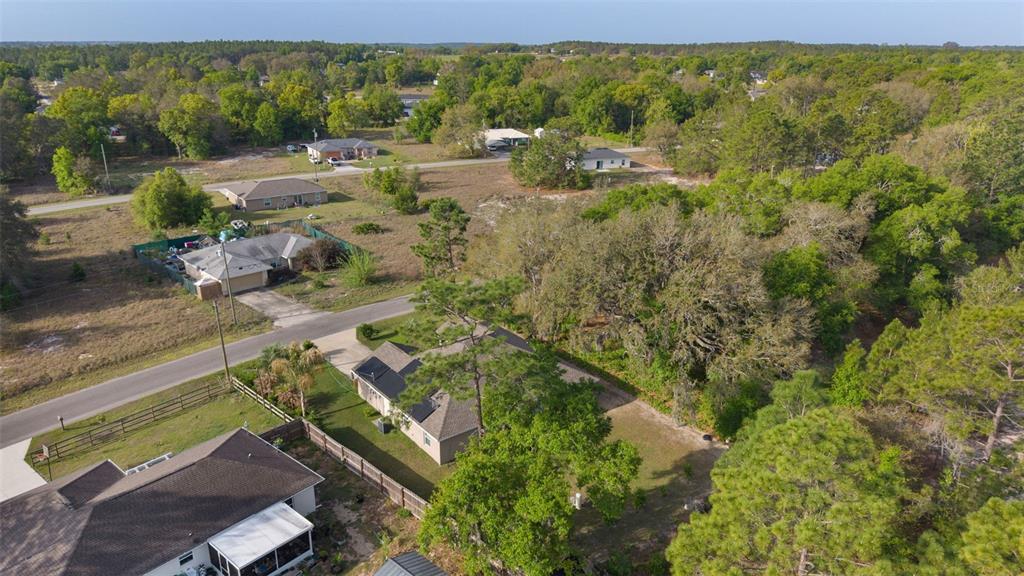 13 Malauka Radial Run Road Ocklawaha, FL 32179 - Photo 9 of 32 a view of outdoor space and city view