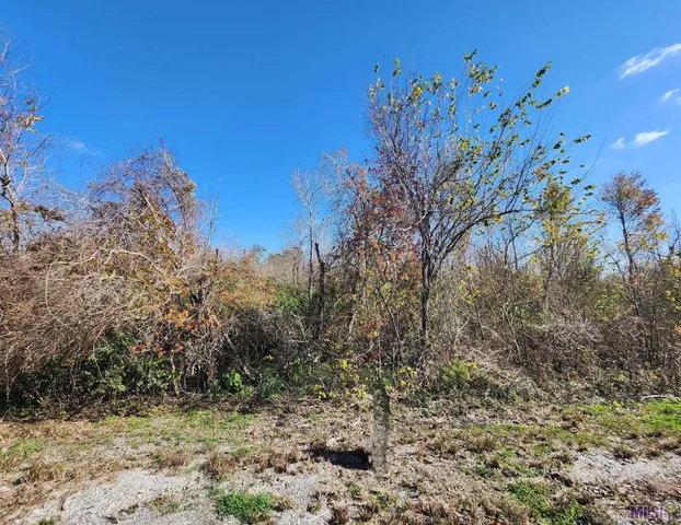 $35,000 | 3235 Highway 3235, Cut Off, LA 70345