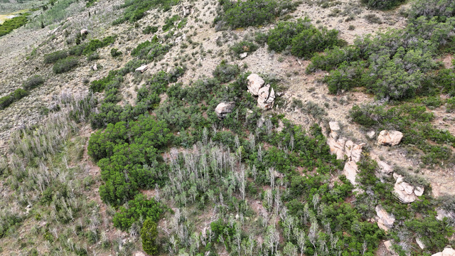 123 Beaver Creek Road Helper, UT 84526 - Photo 32 of 47 Sloping terrain featuring varied natural vegetation, including clusters of green foliage and light-colored deciduous trees