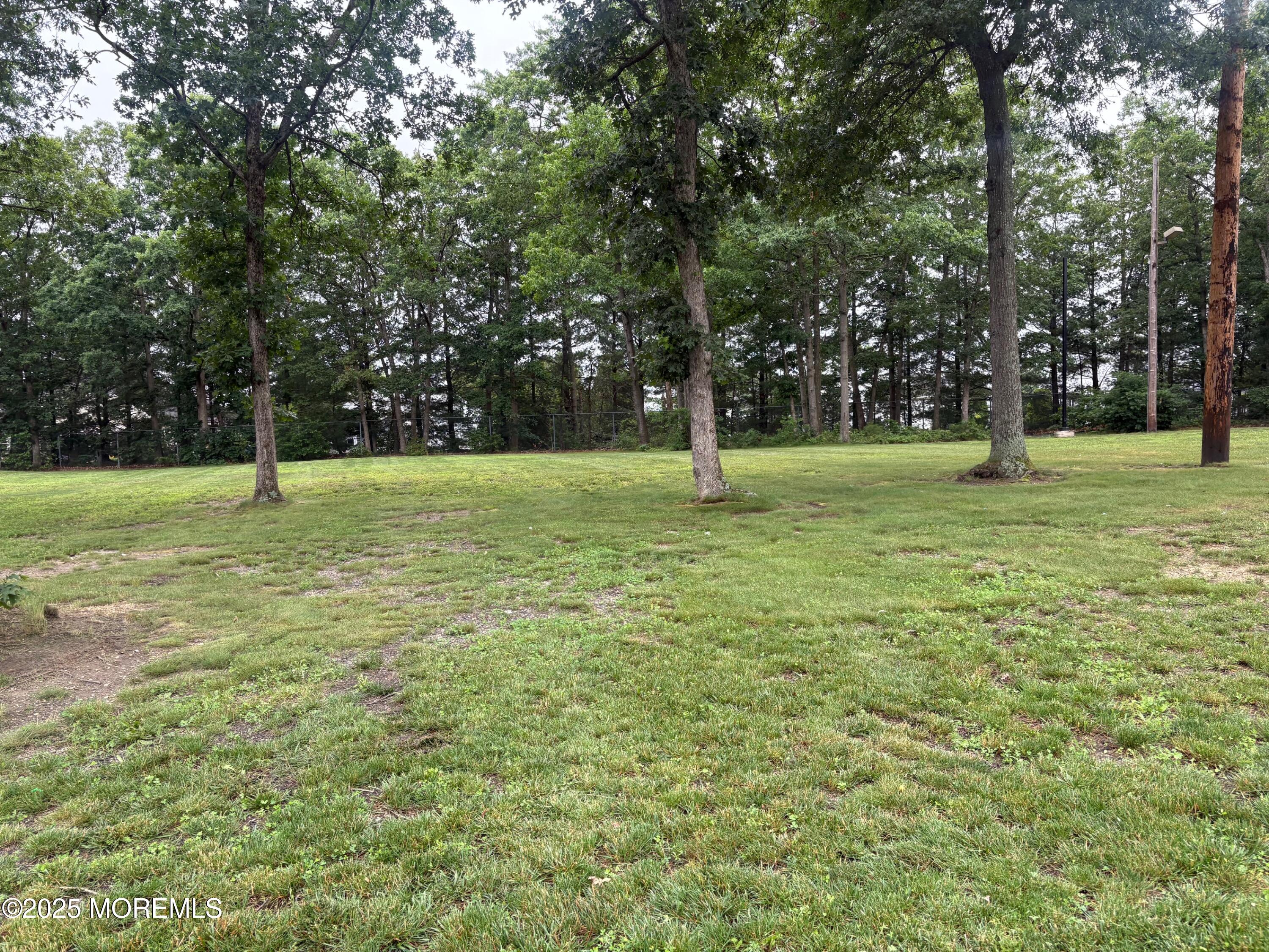 172 Brandon Road Manchester Township, NJ 08759 - Photo 52 of 53 IMG_5914