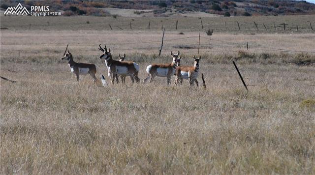 Cedarwood Road Rye, CO 81069 - Photo 7 of 13