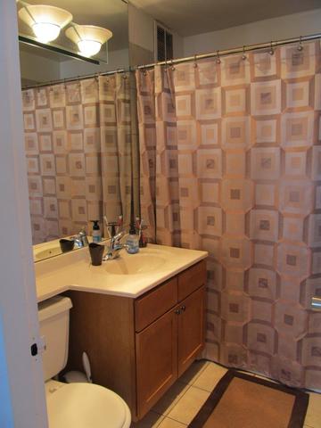 655 West Irving Park Road, Unit 3012 Chicago, IL 60613 - Photo 8 of 14