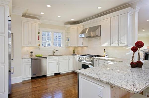 59 Green Street, Unit 2 Brookline, MA 02446 - Photo 6 of 8 a kitchen with stainless steel appliances granite countertop a stove sink and cabinets