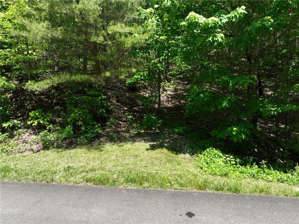 59 St. Andrews Way Ellijay, GA 30536 - Photo 11 of 16