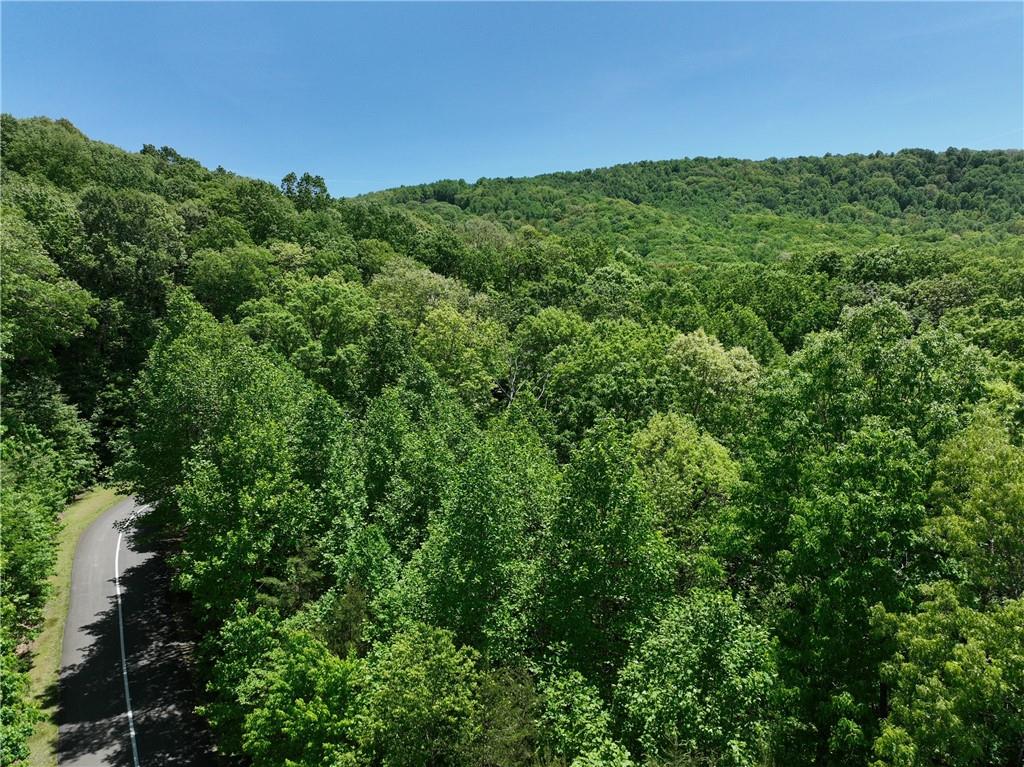 59 St. Andrews Way Ellijay, GA 30536 - Photo 12 of 16