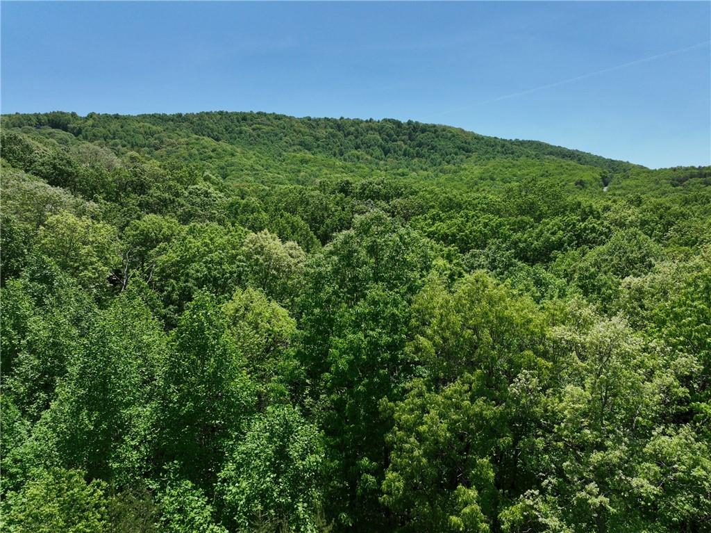 59 St. Andrews Way Ellijay, GA 30536 - Photo 13 of 16