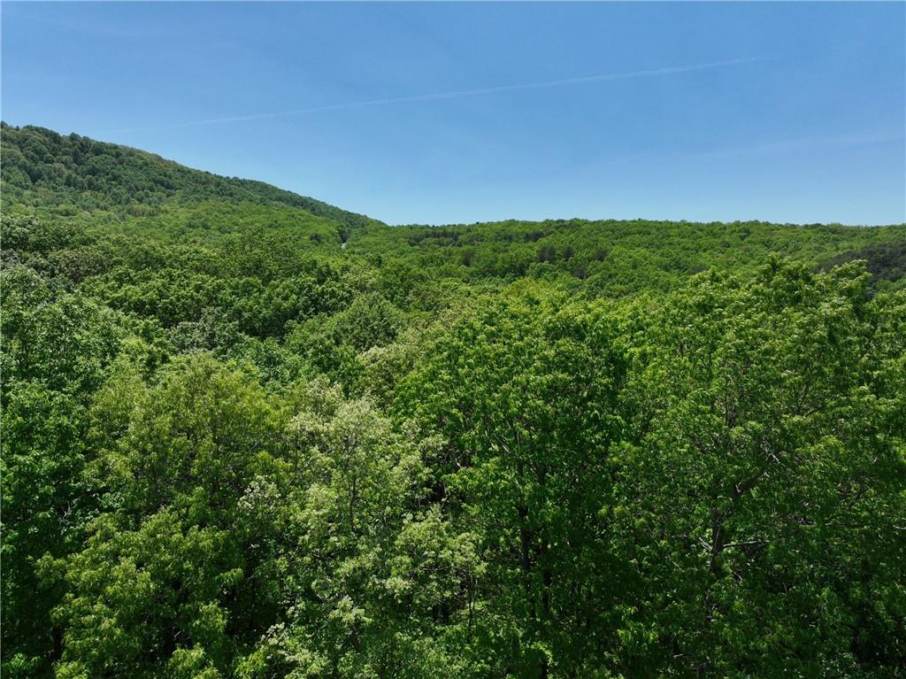 59 St. Andrews Way Ellijay, GA 30536 - Photo 14 of 16