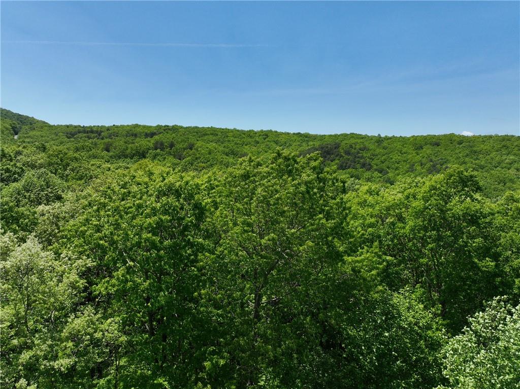 59 St. Andrews Way Ellijay, GA 30536 - Photo 15 of 16
