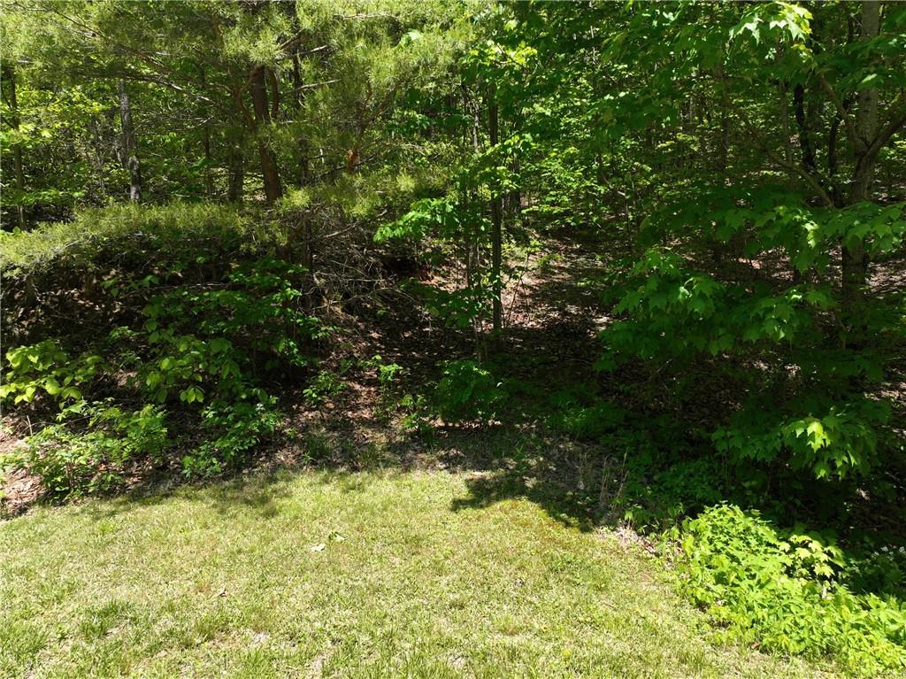 59 St. Andrews Way Ellijay, GA 30536 - Photo 10 of 16
