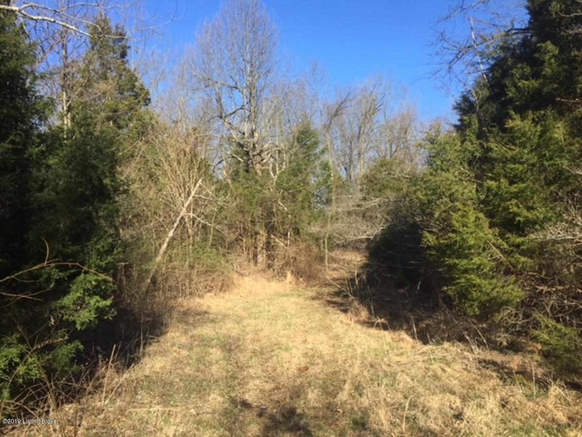 1600 Warren Purcell Road Leitchfield, KY 42754 - Photo 13 of 34 Warren Percell 13