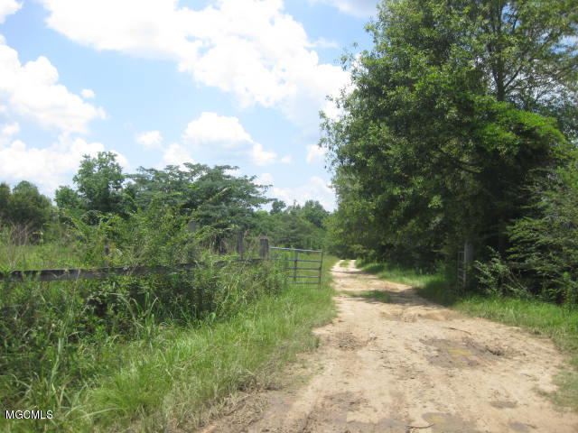 1449 Ceasar Road Carriere, MS 39426 - Photo 8 of 8 IMG_1136
