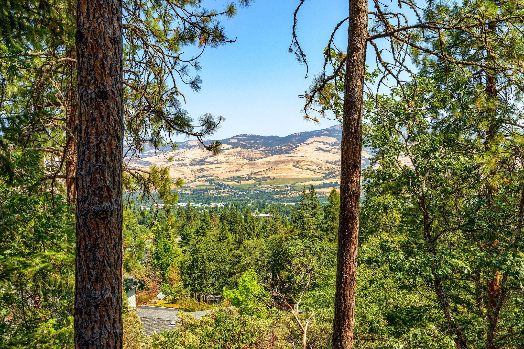 375 Ashland Loop Road Ashland, OR 97520 - Photo 55 of 64 ApxALR (19)