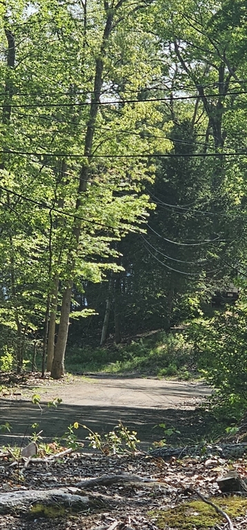 12 Carey Road Sturbridge, MA 01566 - Photo 7 of 14