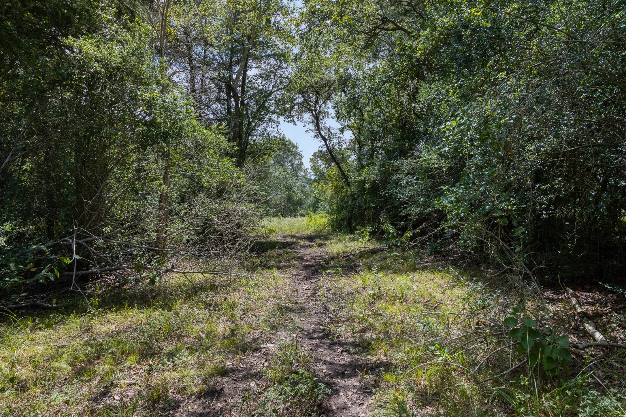 9809 Mazoch Road La Grange, TX 78945 - Photo 24 of 27 Gallery Image 24