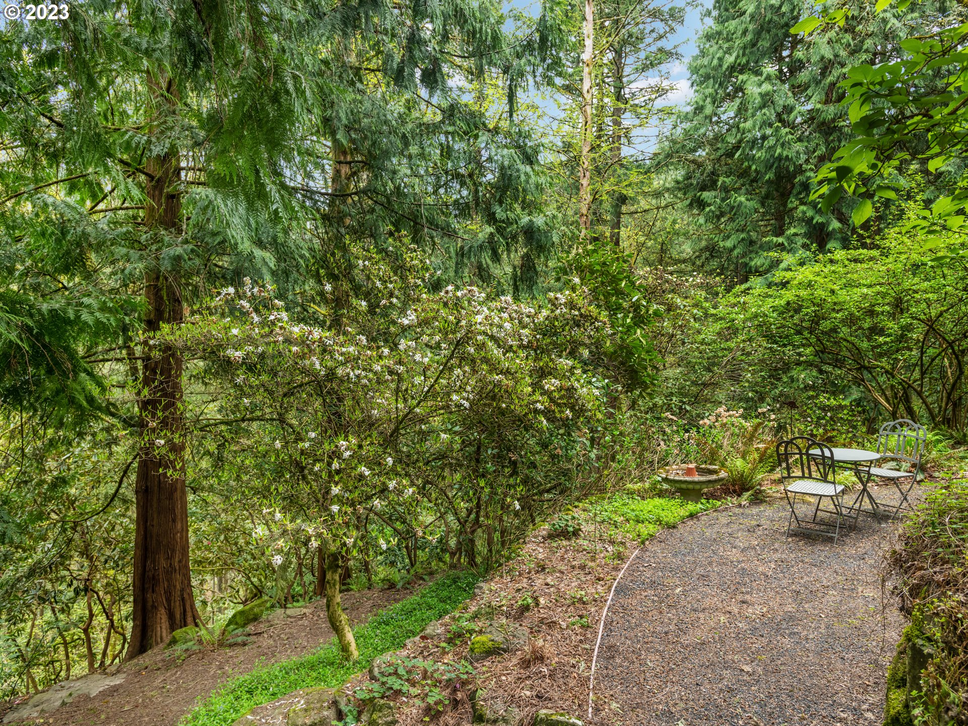 1906 Southwest Edgewood Road Portland, OR 97201 - Photo 14 of 29 a view of a yard with plants and large trees
