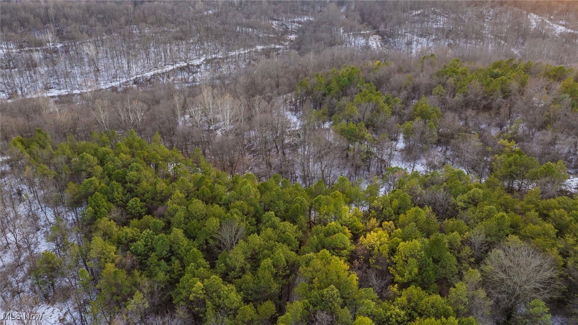 Perl Road Chandlersville, OH 43727 - Photo 23 of 48