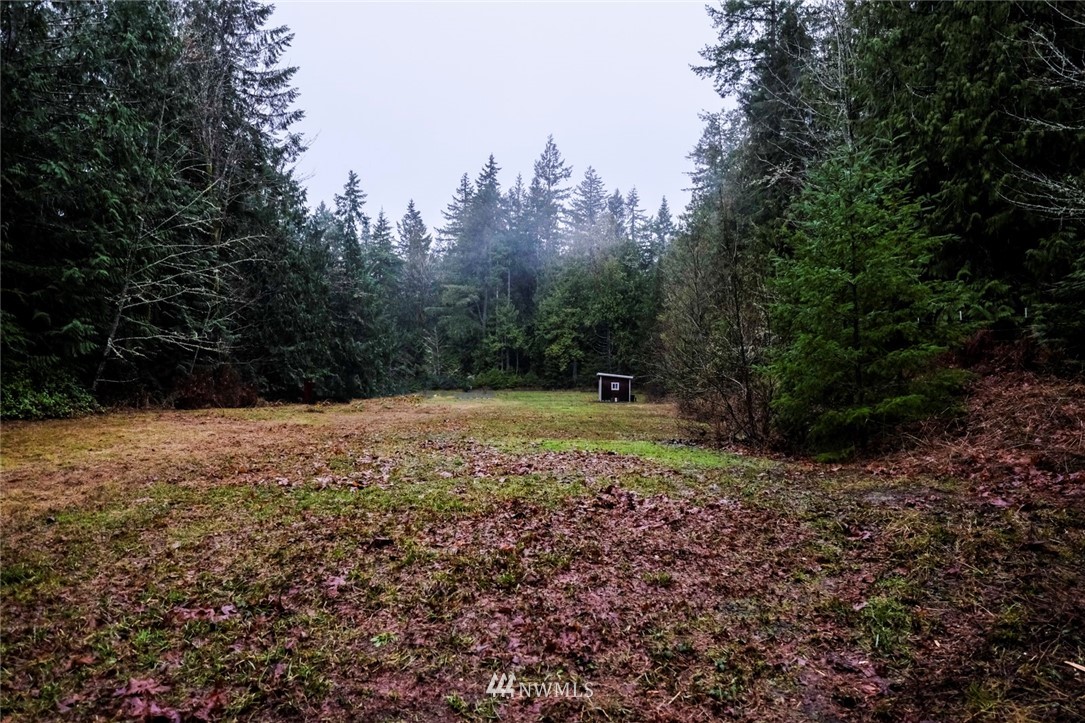 0 Anderson Lake Rd Port Chimacum, WA 98325 - Photo 5 of 7