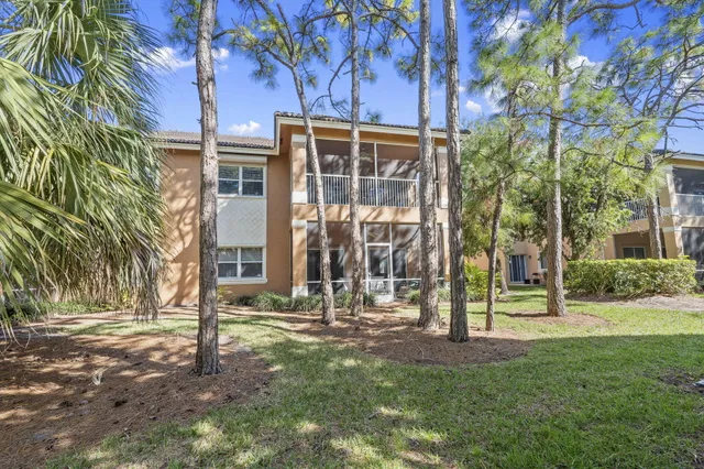 a view of a room with a tree