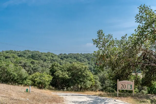 a view of a street with a building in the background
