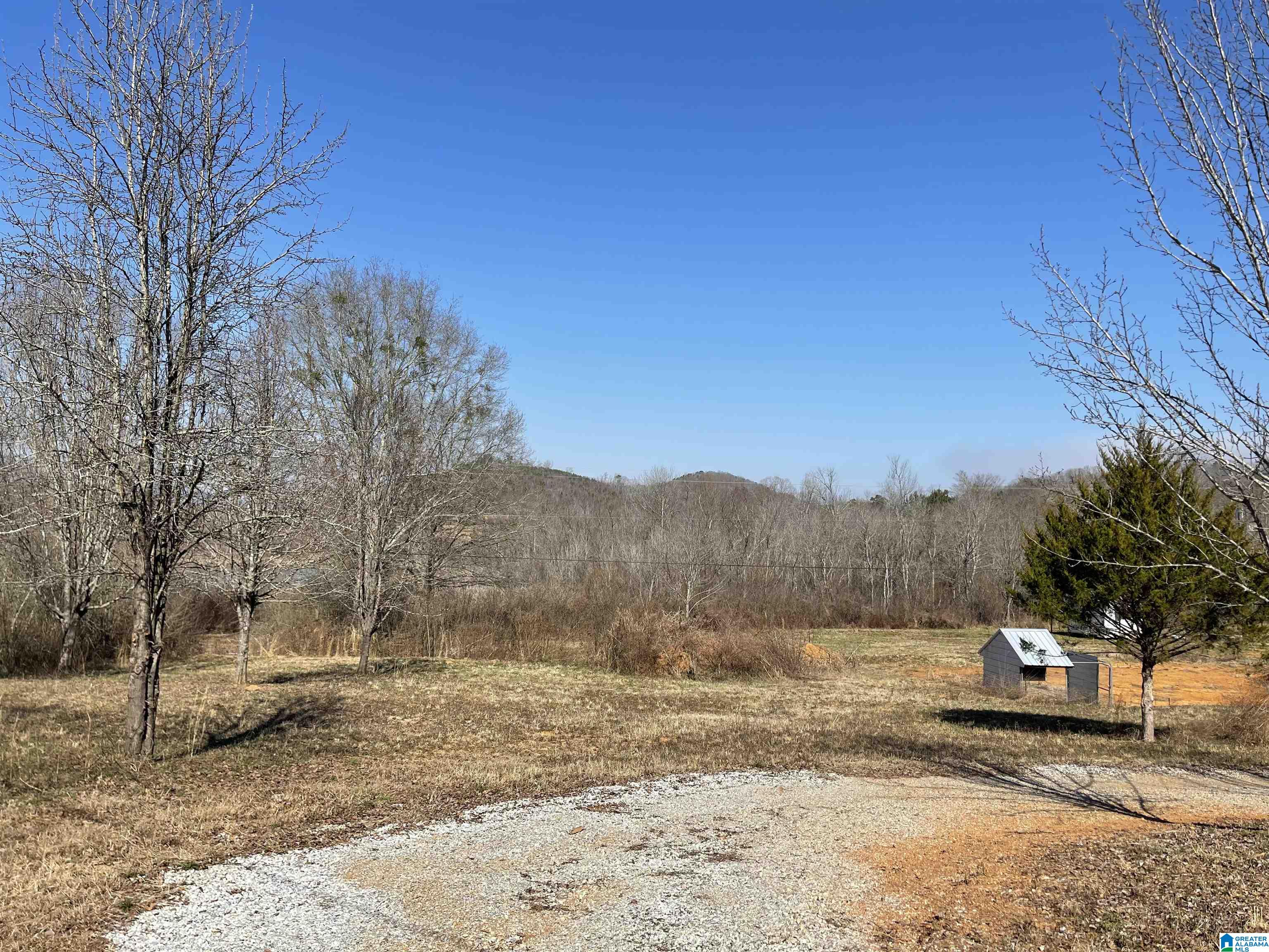 1619 Old Downing Ml Road Anniston, AL 36207 - Photo 3 of 15