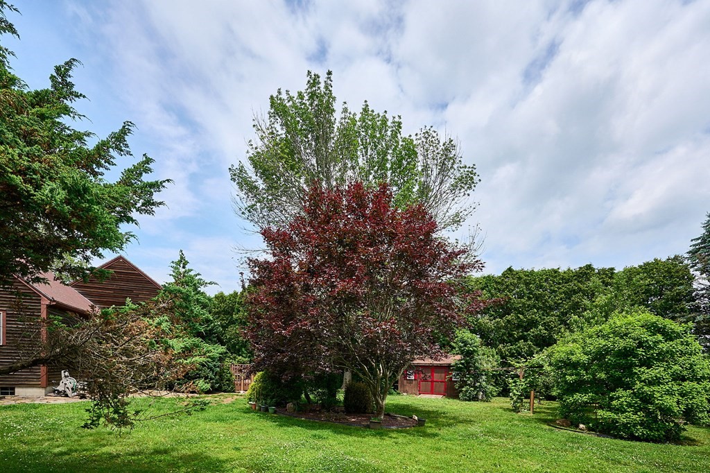 410 Hadley Road Sunderland, MA 01375 - Photo 26 of 32 a pathway of a garden