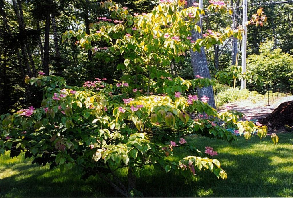 139 Farnham Point Road East Boothbay, ME 04544 - Photo 21 of 25 Photo
