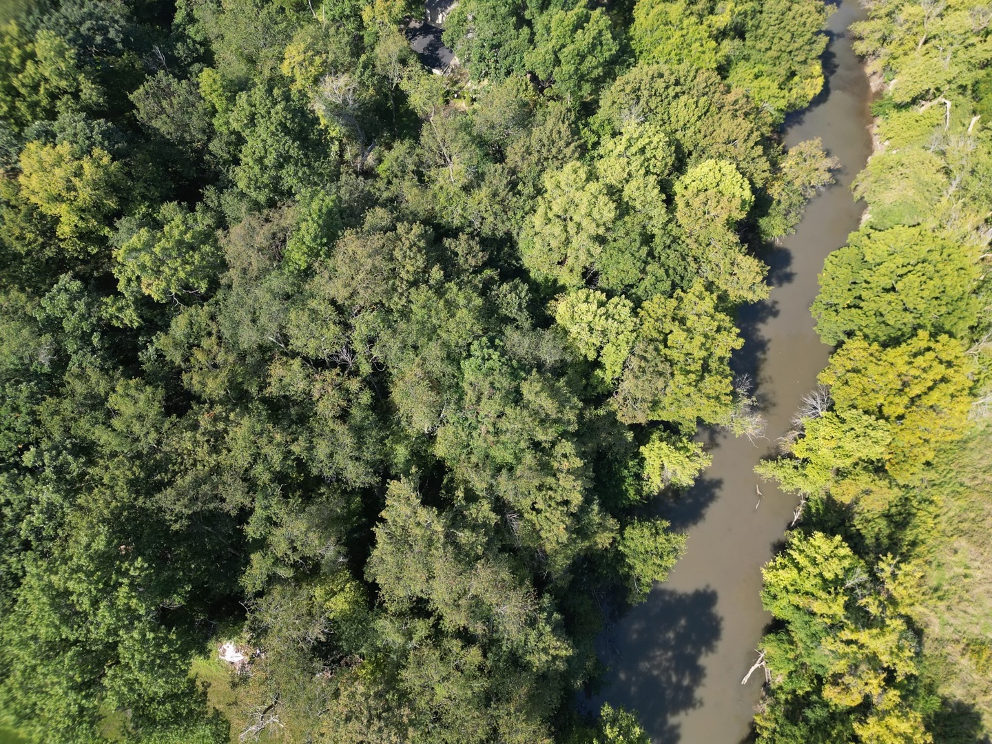 1607 Woodside Circle Freeport, IL 61032 - Photo 4 of 36