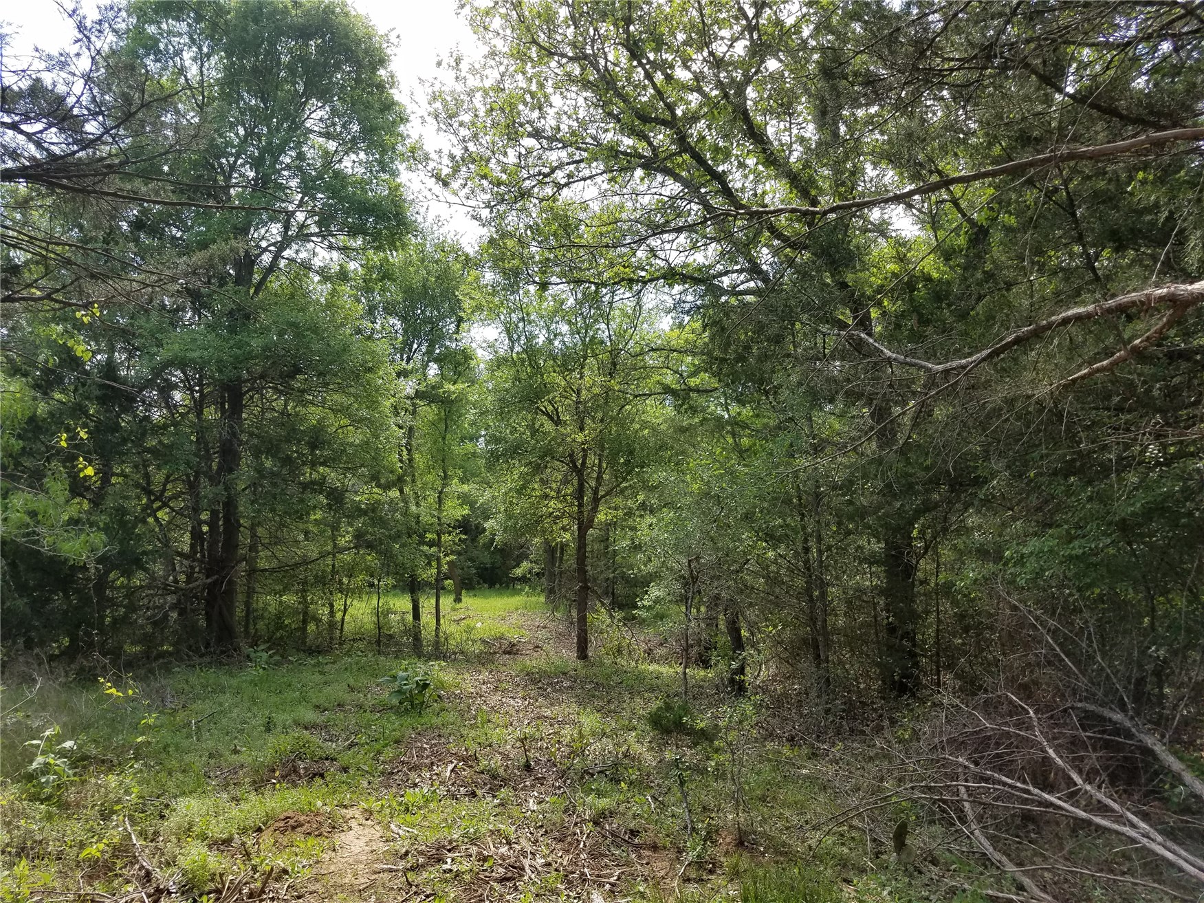 15.714-acres Old Colony Line Road Dale, TX 78616 - Photo 1 of 1 Gallery Image 1