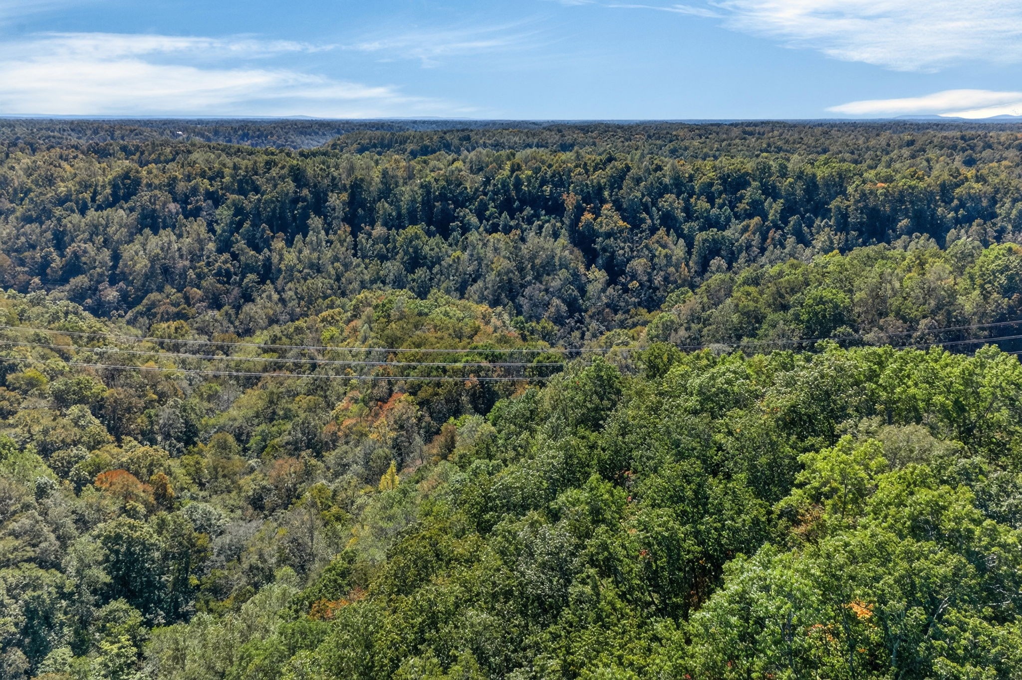0 Shores Road Silver Point, TN 38582 - Photo 23 of 23 Gallery Image 23