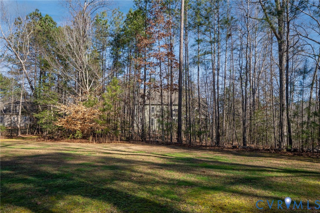 8825 First Branch Lane Chesterfield, VA 23838 - Photo 38 of 49 a view of a park with large trees