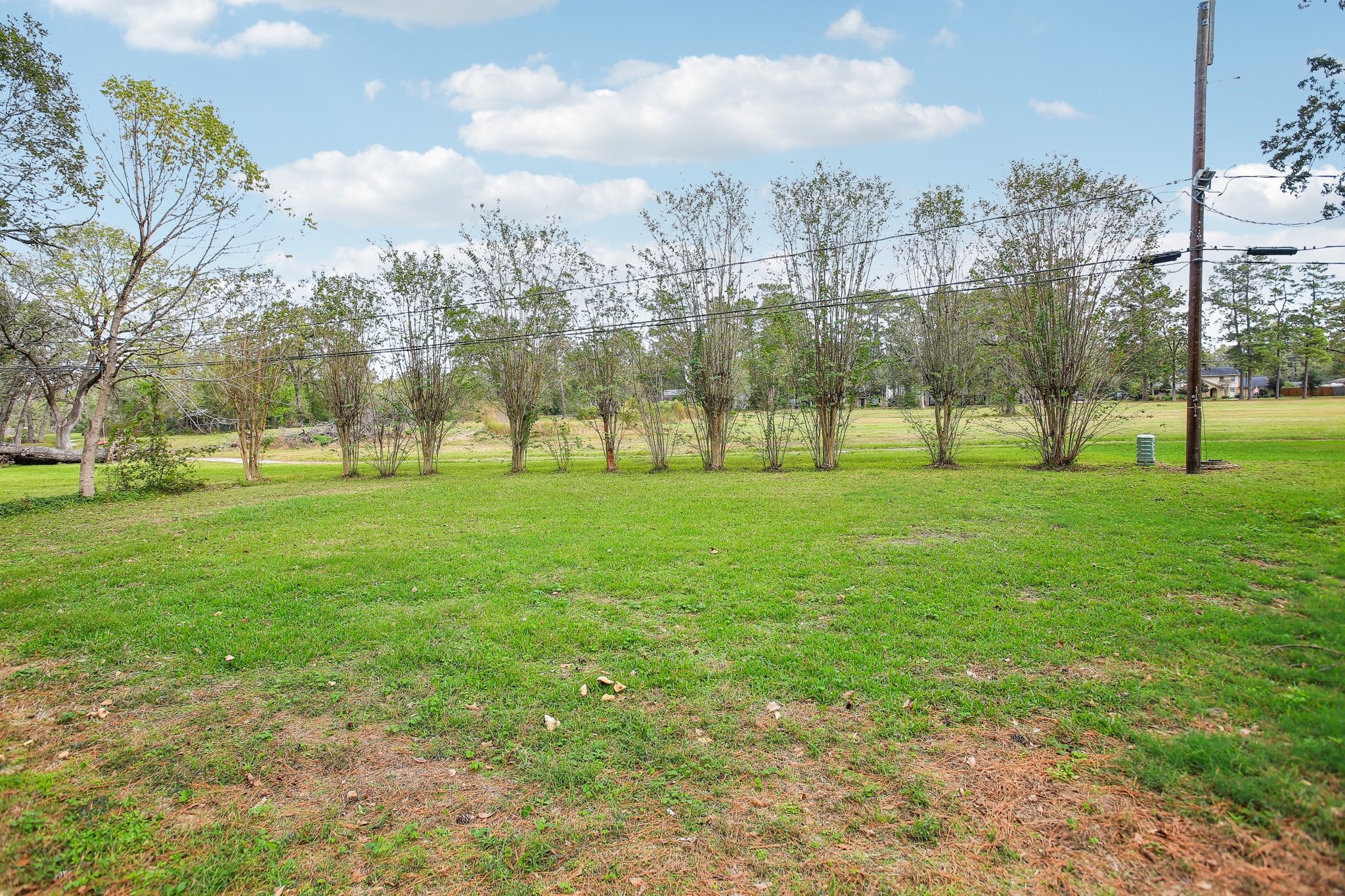 1602 Chestnut Ridge Road Kingwood, TX 77339 - Photo 29 of 31