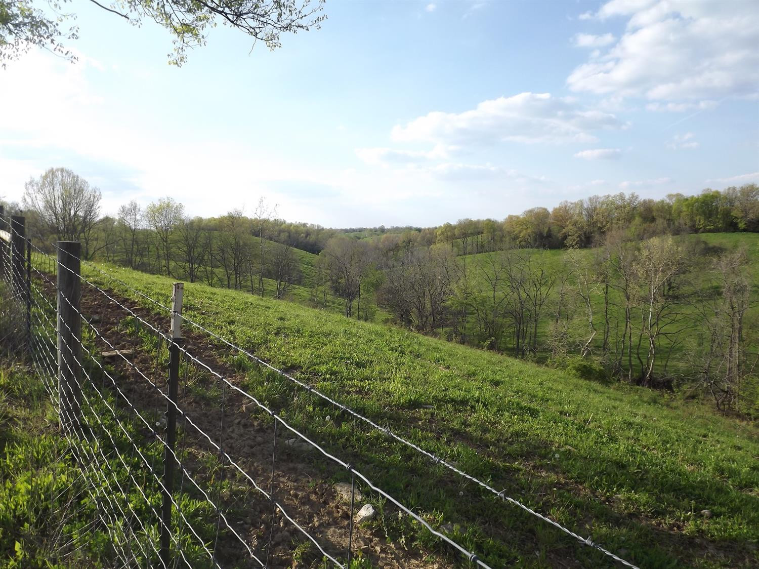 5000 Battle Road Mackville, KY 40040 - Photo 35 of 35 Photo 35