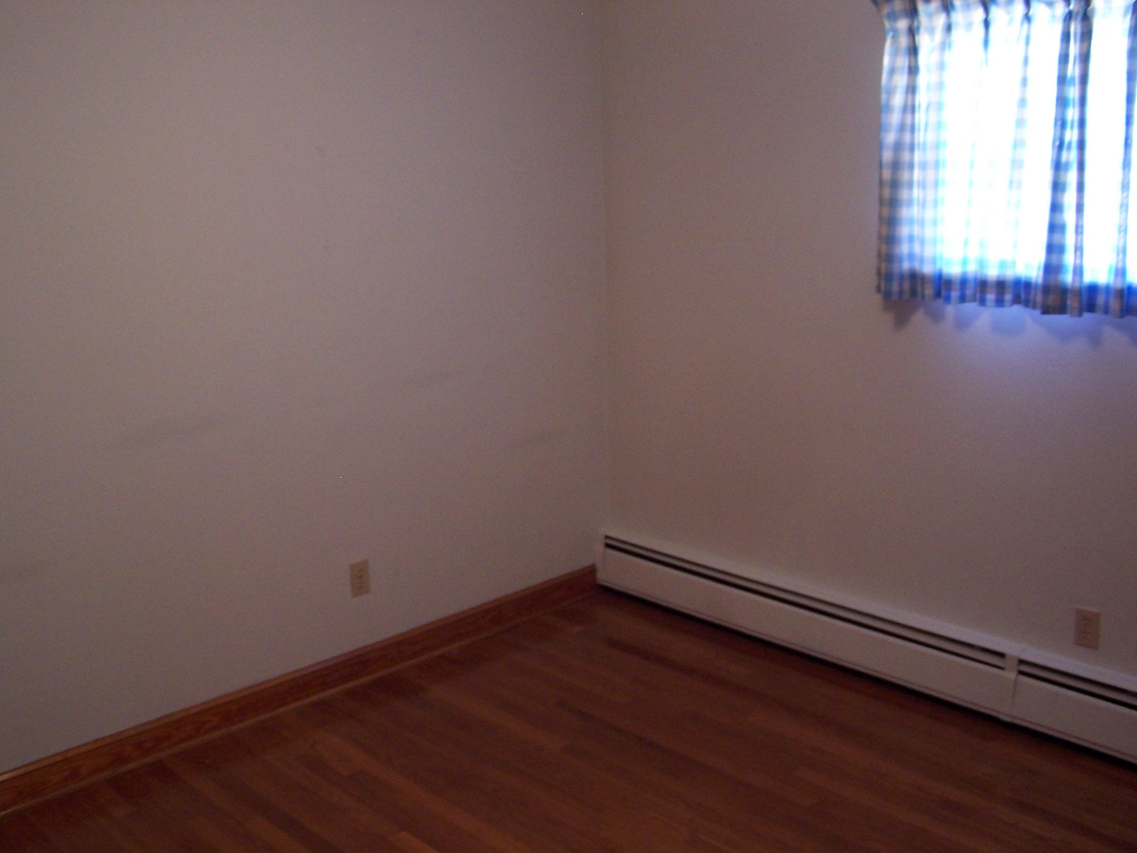 1601 Coopers Cove Road Hardy, VA 24101 - Photo 15 of 24 2021-02-25 13.06.04