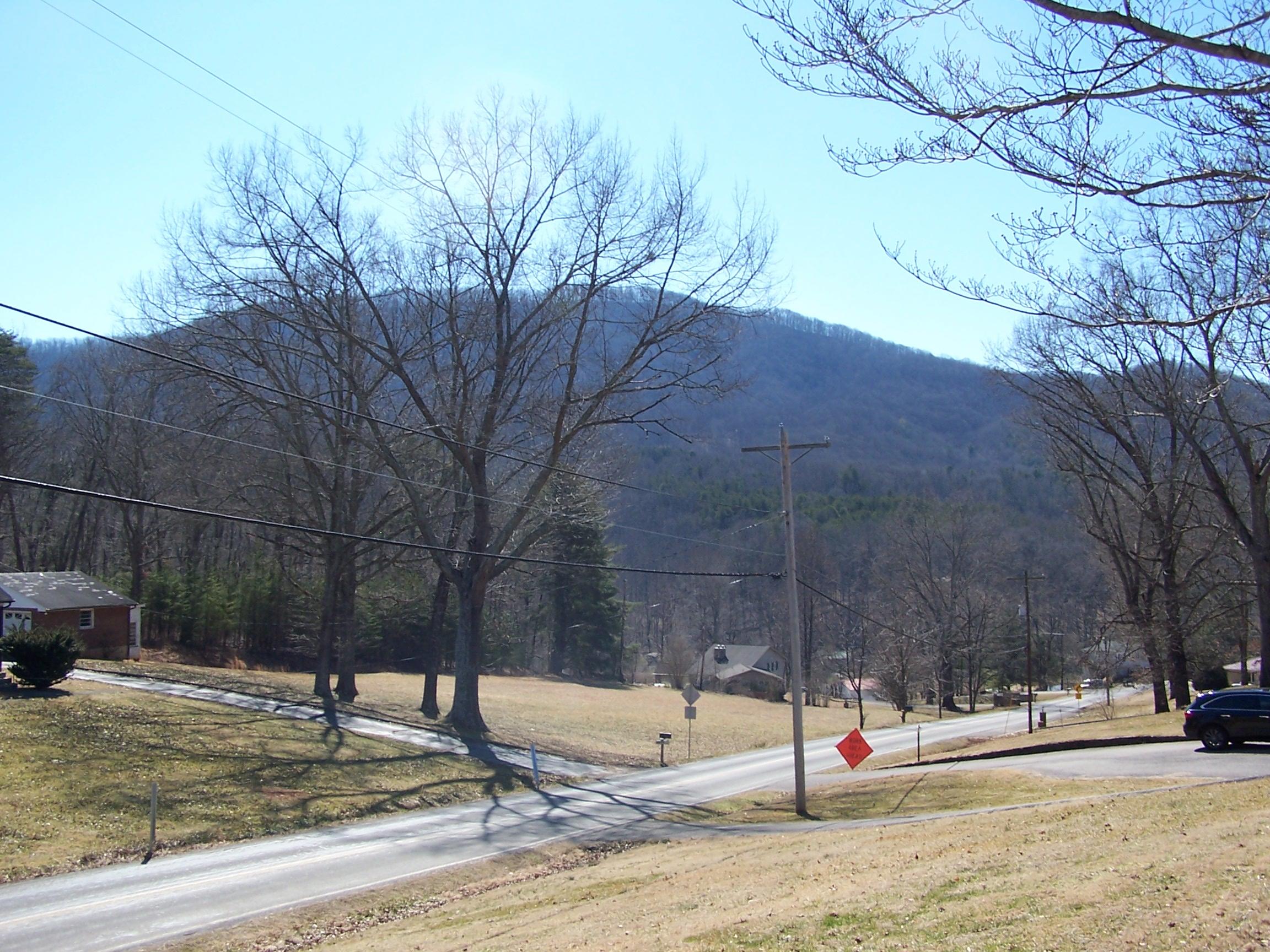 1601 Coopers Cove Road Hardy, VA 24101 - Photo 24 of 24 2021-02-25 13.14.05