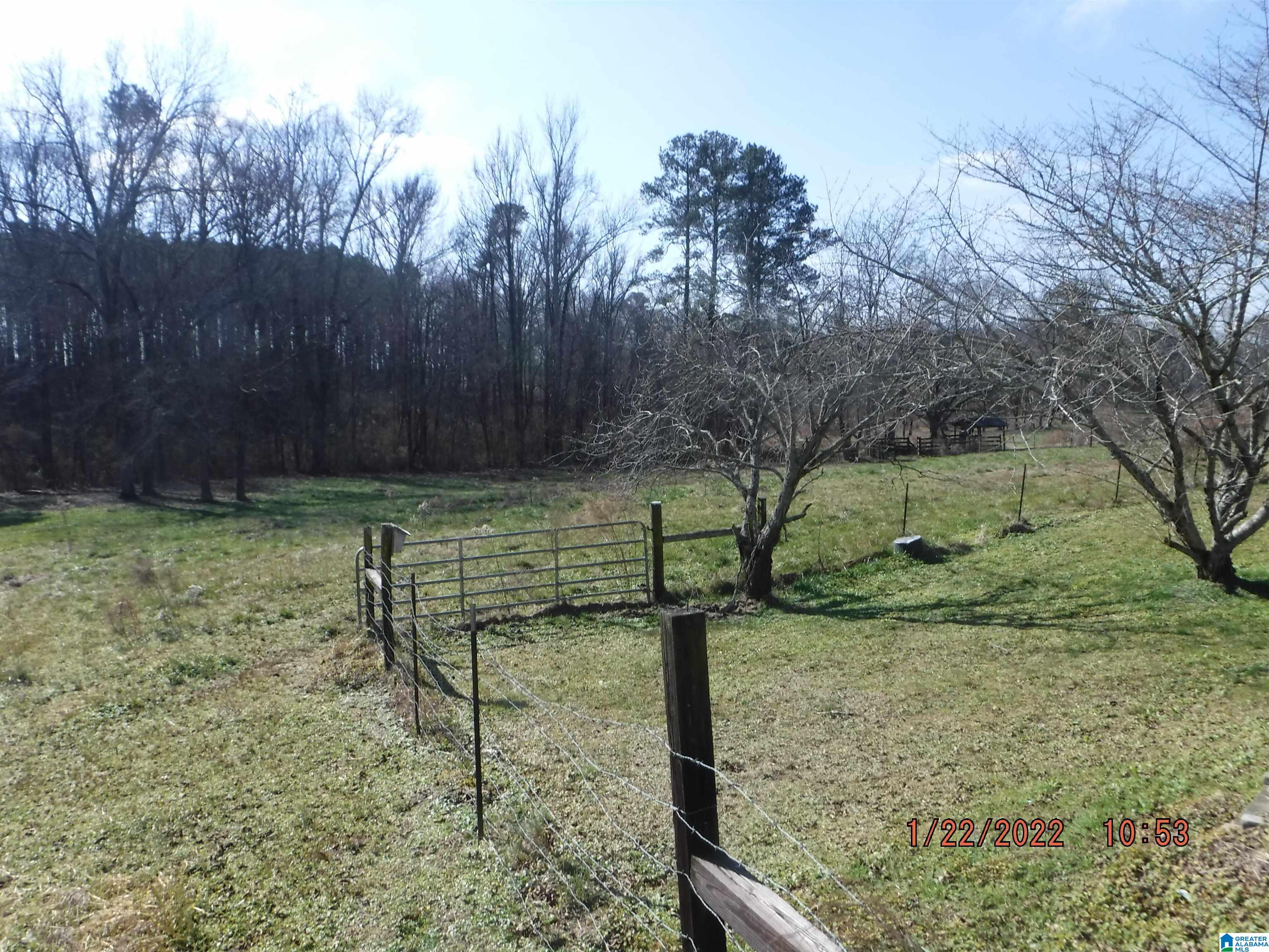 2599 County Road 26 Boaz, AL 35957 - Photo 34 of 36